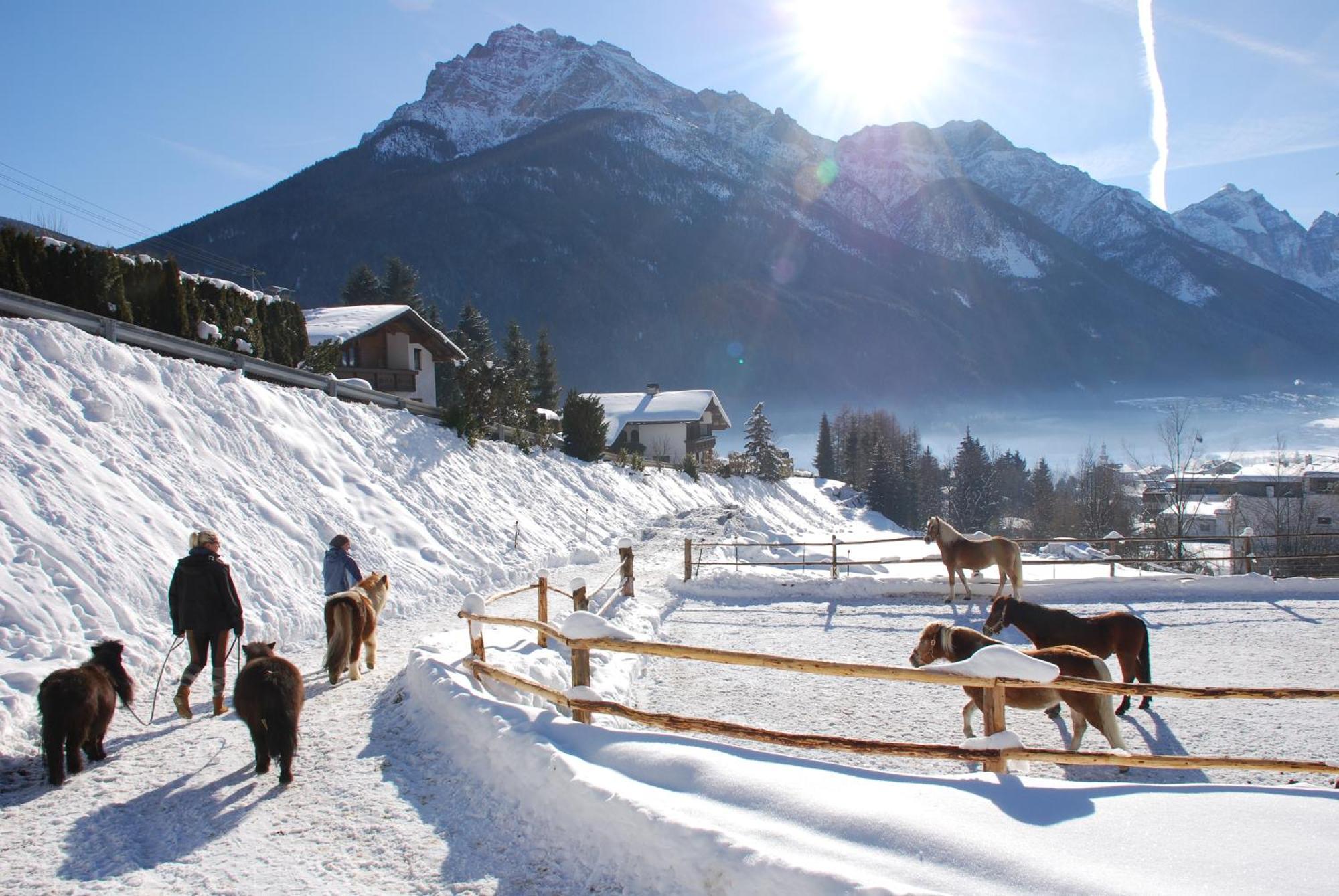 Apartament Kassnhof - Urlaub In Den Bergen Telfes im Stubai Zewnętrze zdjęcie